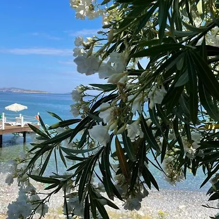 Love Beach Villa *
