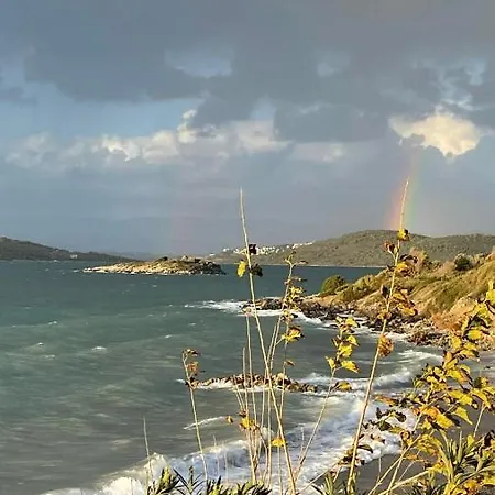 빌라 Love Beach Villa *