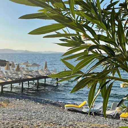 Love Beach Villa 빌라 *