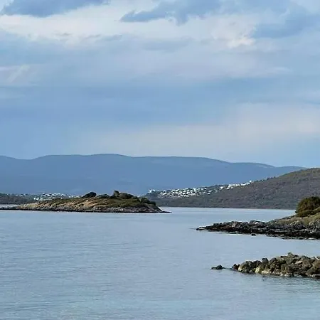 Love Beach Villa 빌라 *