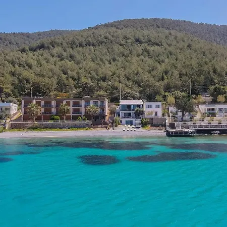 Love Beach Villa 빌라