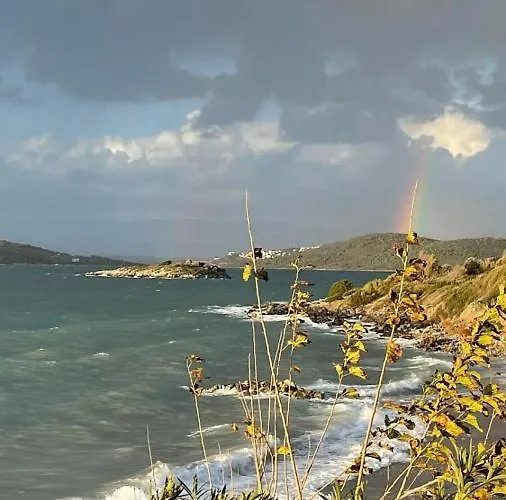 Villa Love Beach Villa *