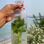 别墅 Love Beach Villa 博德鲁姆