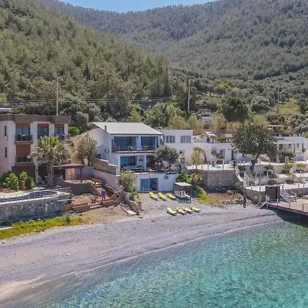 Love Beach Villa Vila